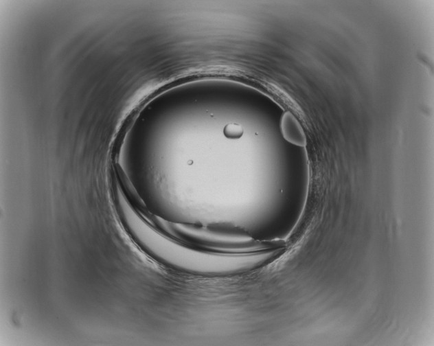 X0000098020989200803281330