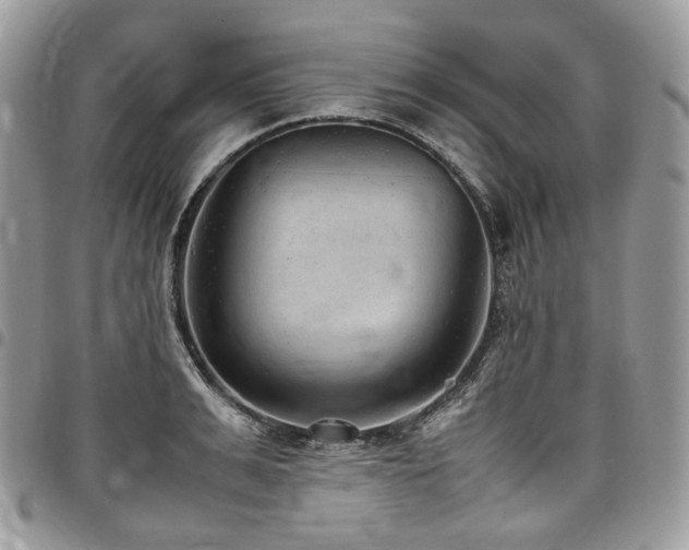 X0000098020991200803281330