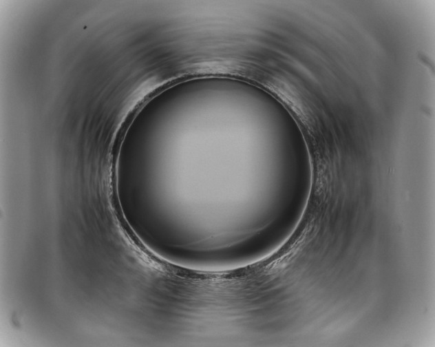 X0000098020992200803281330