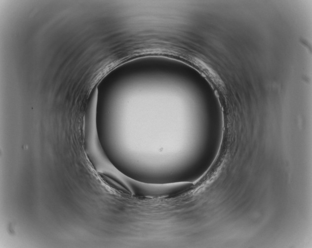 X0000098020993200803281330