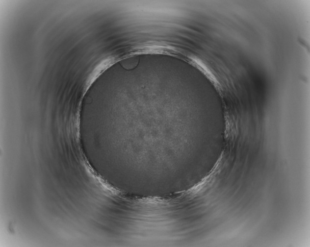 X0000098020994200803281330