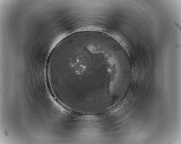 X0000098020998200803281330