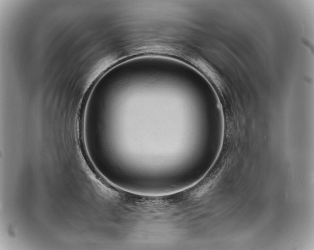 X0000098020999200803281330