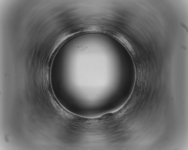 X0000098021000200803281330