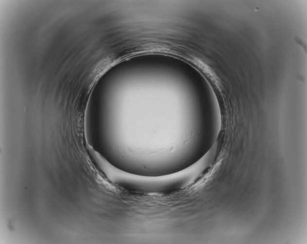 X0000098021001200803281330