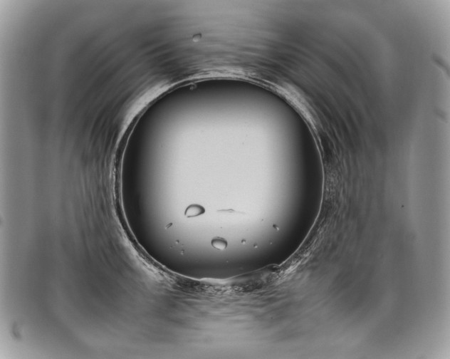 X0000098021003200803281330