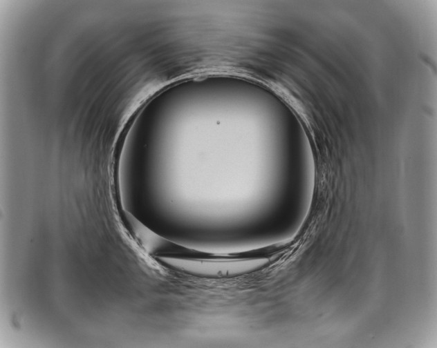 X0000098021005200803281330