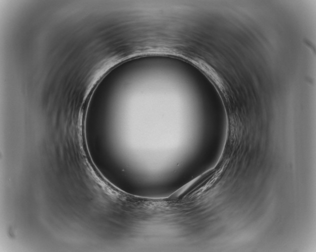 X0000098021006200803281330