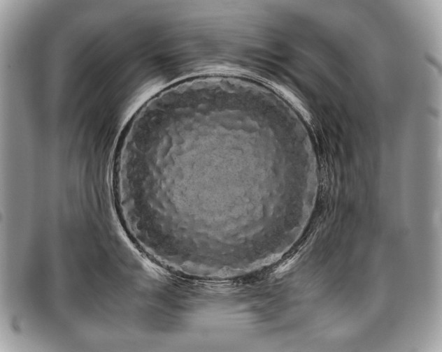 X0000098021007200803281330