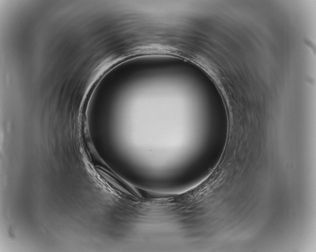 X0000098021008200803281330