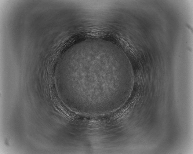 X0000098021009200803281329