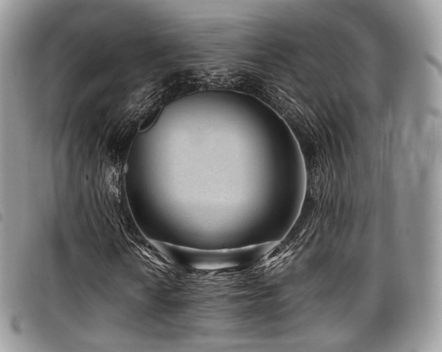 X0000098021010200803281329