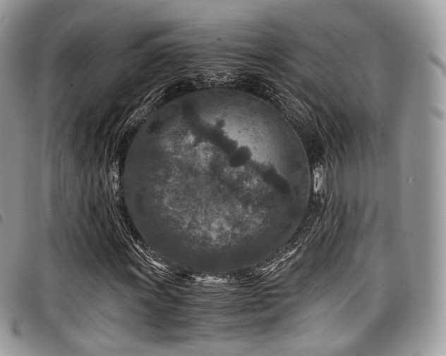 X0000098021011200803281329