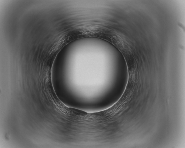 X0000098021012200803281330