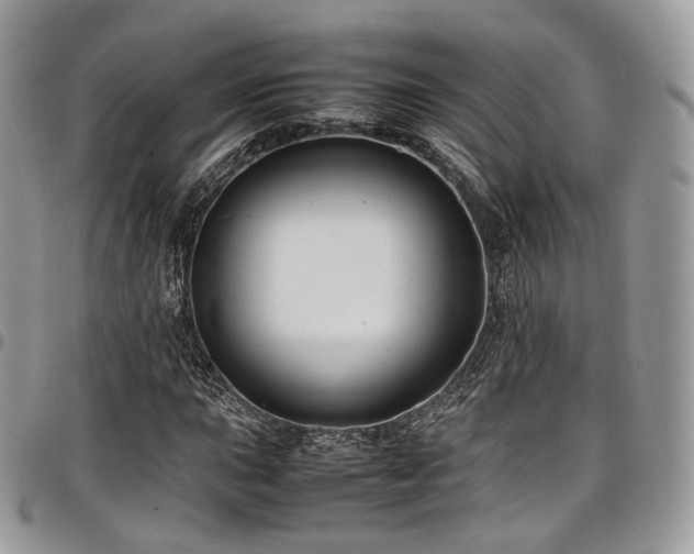 X0000098021015200803281330