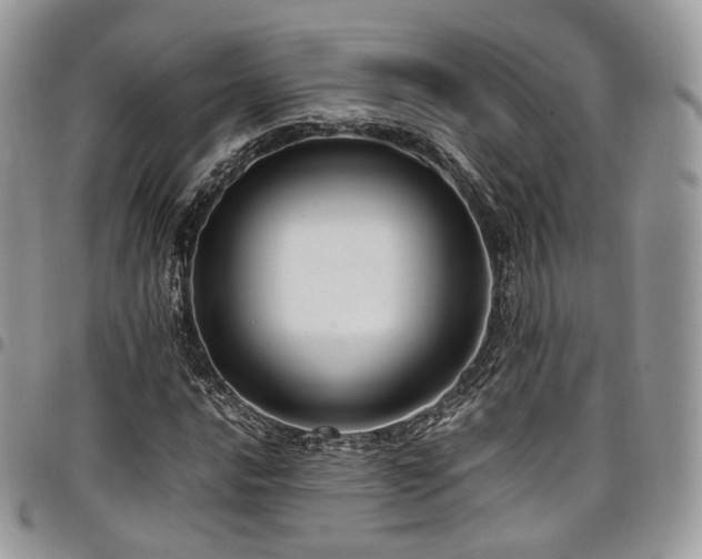 X0000098021016200803281330