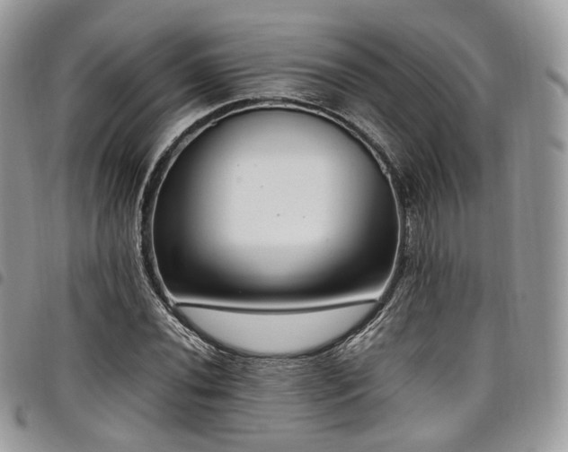 X0000098021020200803281330