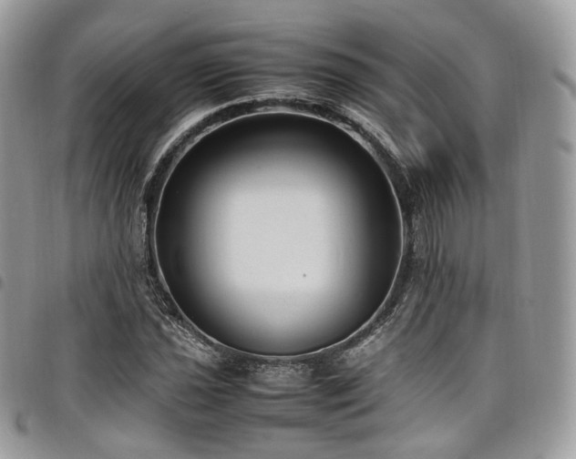 X0000098021021200803281330