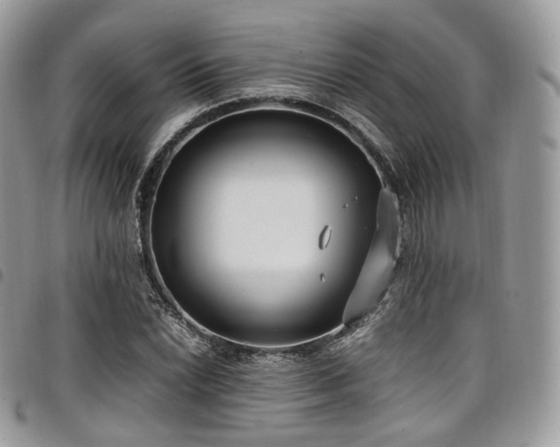 X0000098021022200803281330