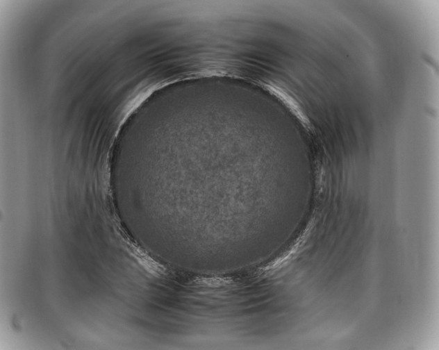 X0000098021023200803281330