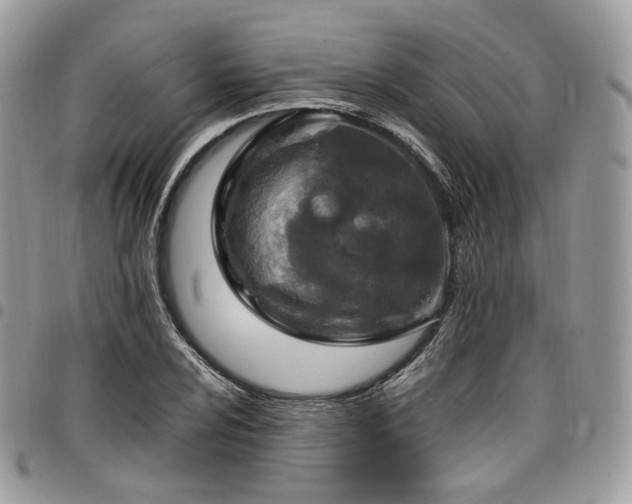 X0000098021024200803281330