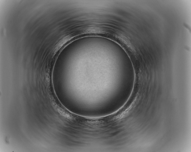 X0000098021025200803281330