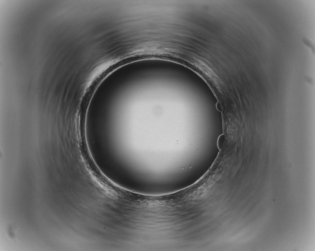 X0000098021030200803281330