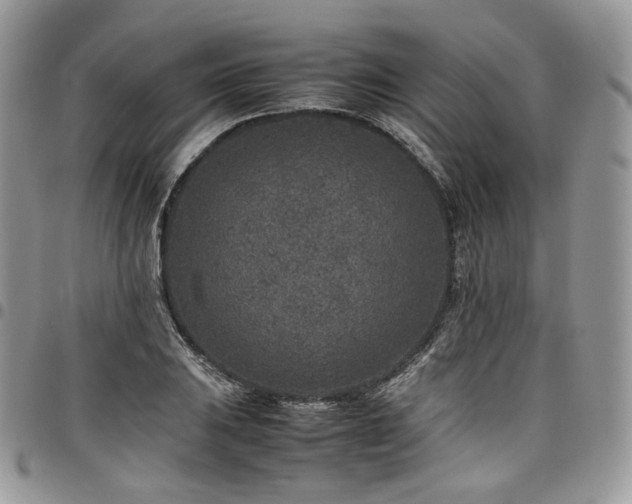 X0000098021031200803281330