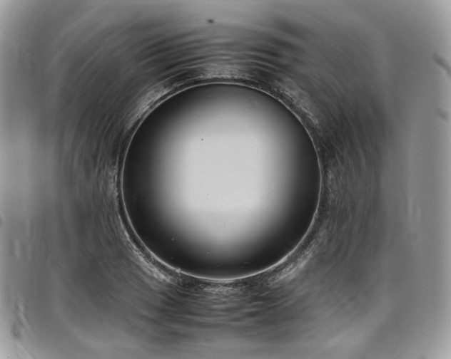 X0000098021033200803281330