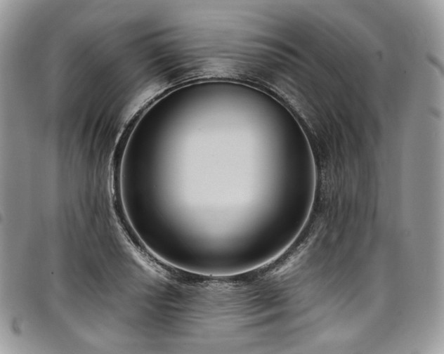 X0000098021034200803281330