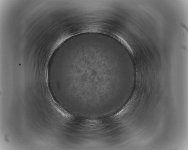 X0000098021035200803281330