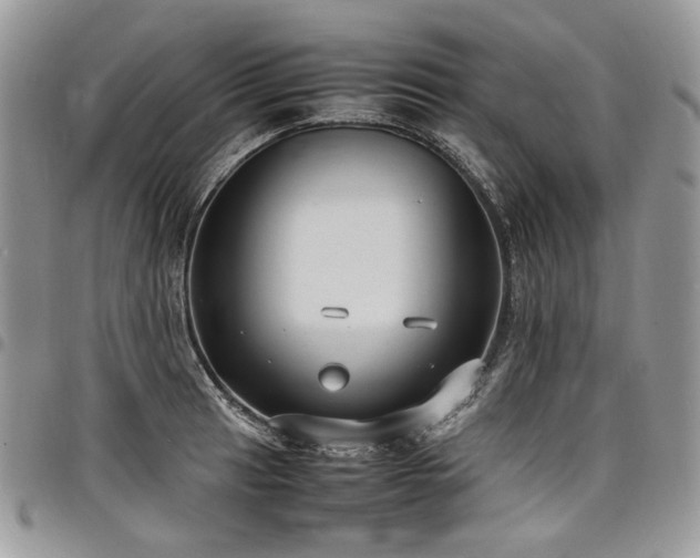 X0000098021041200803281330