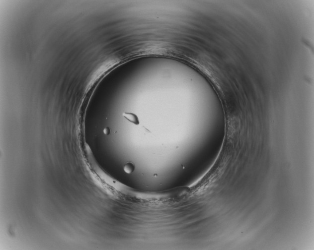 X0000098021042200803281330