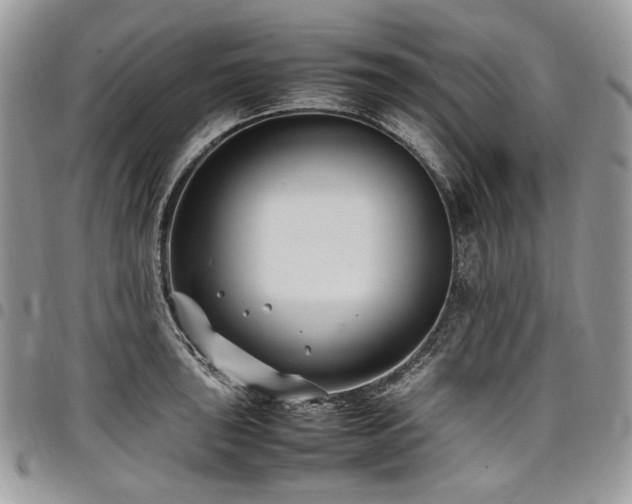 X0000098021043200803281330