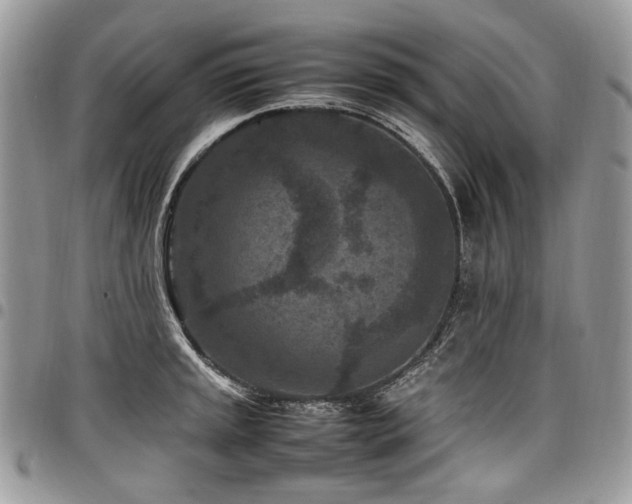 X0000098021045200803281330