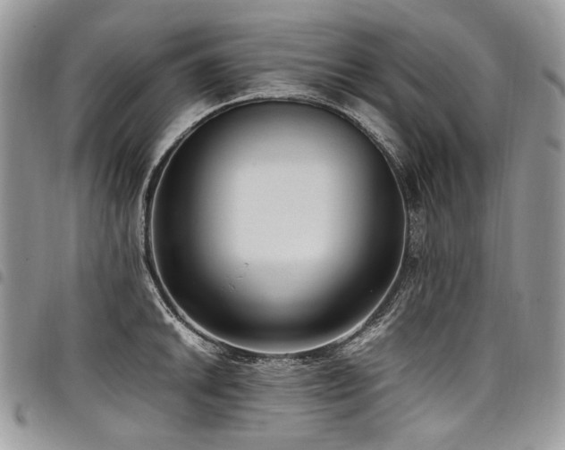 X0000098021046200803281330