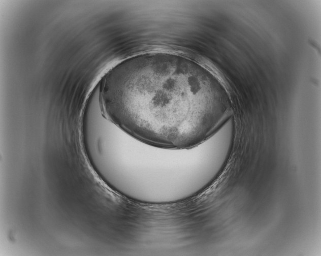 X0000098021048200803281330