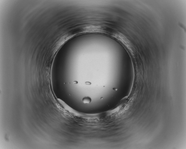 X0000098021049200803281330