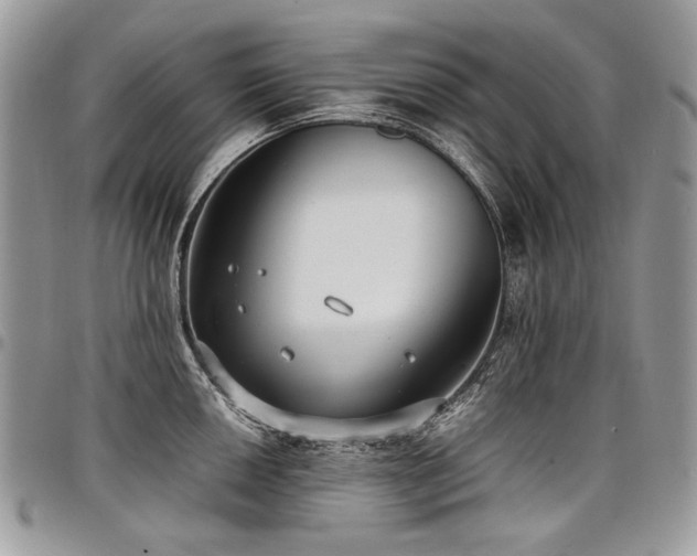 X0000098021050200803281330