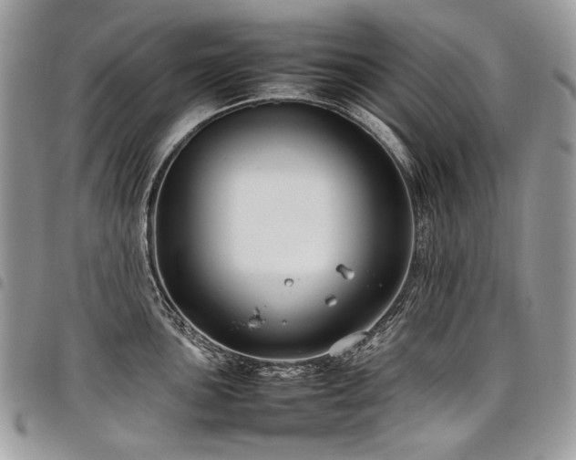 X0000098021051200803281330