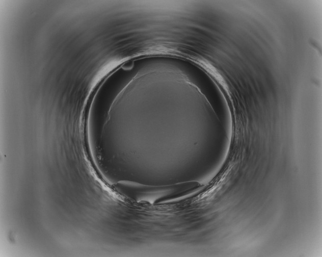 X0000098021053200803281330