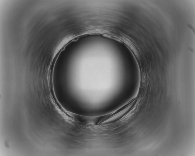 X0000098021054200803281330