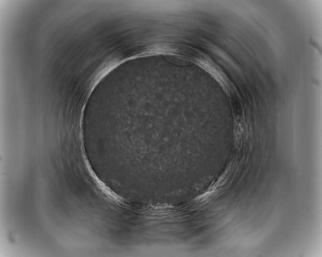 X0000098021055200803281330