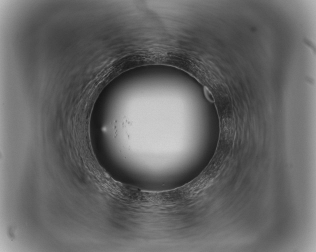 X0000098021057200803281329