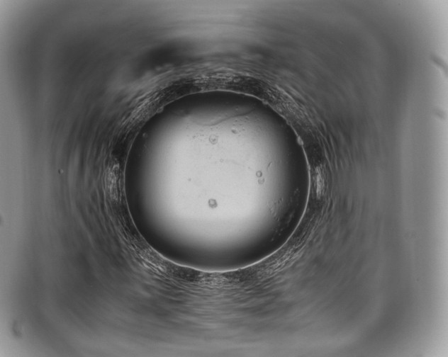 X0000098021059200803281329