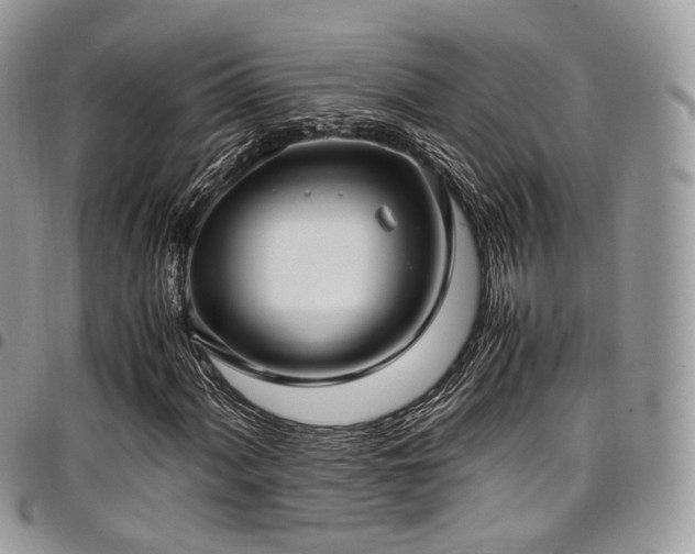 X0000098021060200803281329