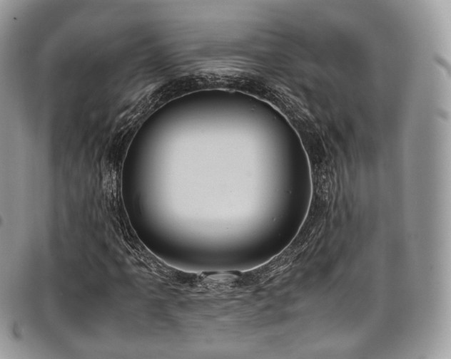 X0000098021061200803281329