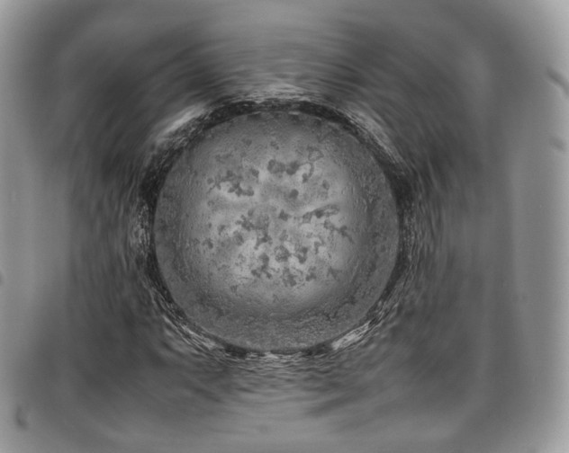 X0000098021063200803281329