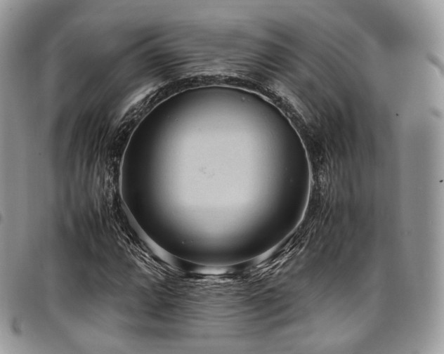 X0000098021064200803281329