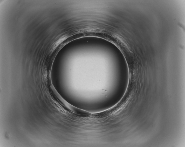 X0000098021065200803281329